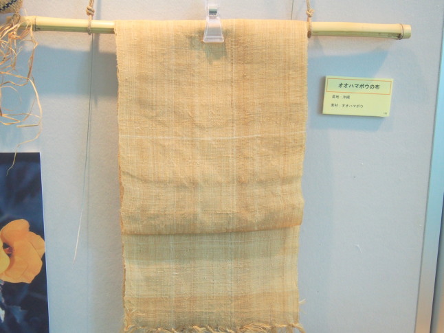 オオハマボウの繊維で編んだ布写真
