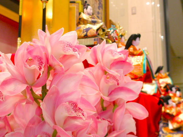 雛祭シンビジュウム花画像
