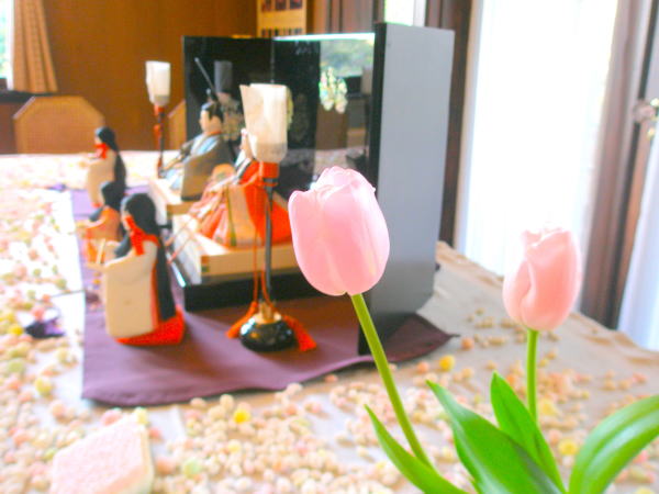 雛祭チューリップ花画像